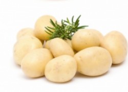 Как получить ранний урожай картошки