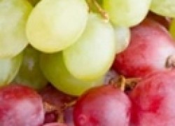 Что угрожает винограду в Средней полосе