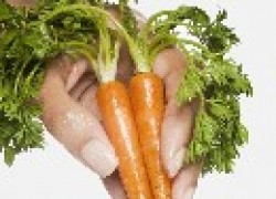 Мелкую морковь на доращивание
