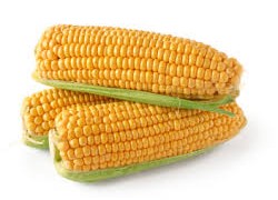Сахарная кукуруза - самая доходная культура