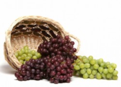 Как применять гиббереллин на винограднике