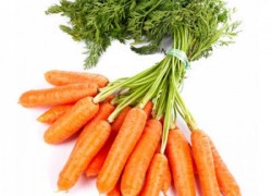 Чем удобрять морковь