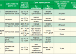 Обрабатываем сад Топазом