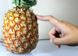 Ищем пользу и вред в ананасе