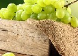 О хранении урожая винограда