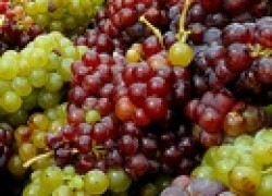 Как и чем обрабатывать виноград