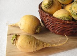 Репа – овощ для долгожителей