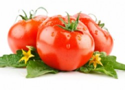 Как вырастить лучшие помидоры