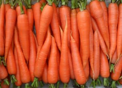 Петрушка и морковь