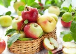 Яблочный король: лучшие сорта яблок