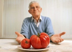Как вырастить помидоры-гиганты