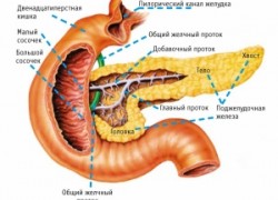 Как болит панкреатит