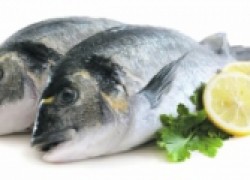 Рыбная диета укрепит организм и поможет похудеть