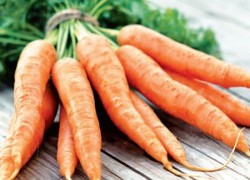 Как избавиться от червей в моркови