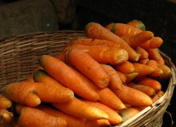 Откуда бородавки на морковке