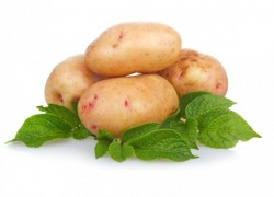 Выращивание картофеля по митлайдеру