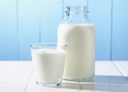 Всякое ли молоко одинаково полезно