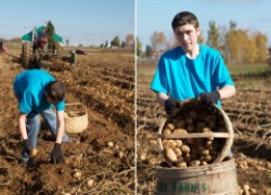 Как правильно выращивать картофель