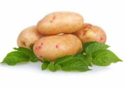 10 правил раннего картофеля