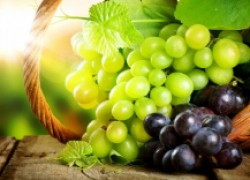 Паралич гроздей на винограде