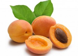 Наиболее популярные сорта абрикоса