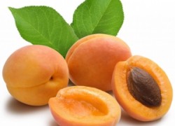Выращиваем абрикос без риска