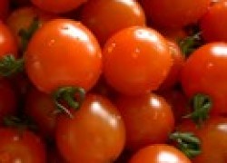Лучшие сорта помидоров
