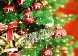 Как дольше сохранить новогоднюю елку свежей