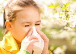 Аллергия лихорадка: провоцирующие факторы и домашние способы борьбы с симптомами