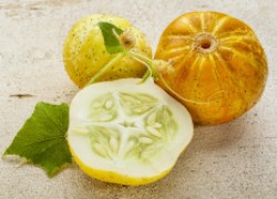Огурец-лимон – экзотика для вашей грядки