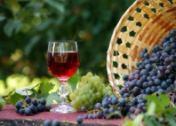 Приготовление домашнего вина из винограда и помидоров