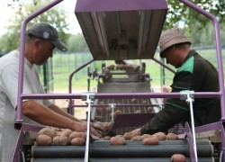 В экоферме «Зеленый глухарь» выращивают только экологически чистые продукты