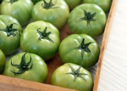 Можно ли оставить зеленые помидоры на семена?
