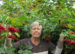 Лекарства в саду и огороде