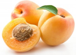 Выращиваем персики, сливы и абрикосы из косточек