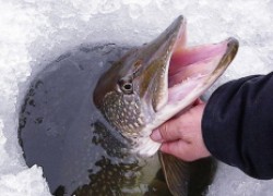 Осторожно, опасности зимней рыбалки!
