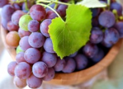 9 самых крупноплодных сортов винограда