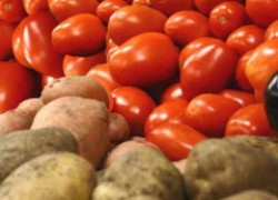 Самые плодовитые сорта картофеля и помидоров