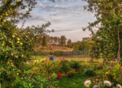 7 жестоких способов заставить сад плодоносить