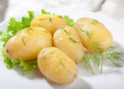 Самые ранние сорта картошки