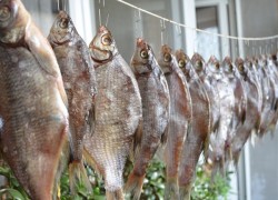 Четыре способа хранения сушеной рыбы