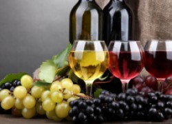 Можно ли столовый виноград отправлять на вино?