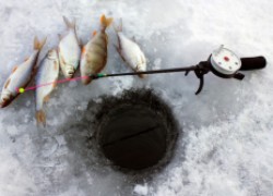 Три суперспособа подготовить опарыша к зимней рыбалке