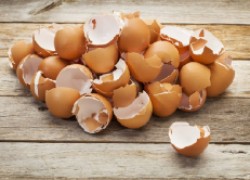 Лечебные свойства яичной скорлупы