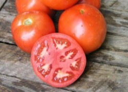 Почему семена высокорослых помидоров стоят дороже низкорослых