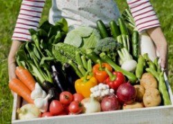 Советы для жадных огородников: как собрать больше урожая
