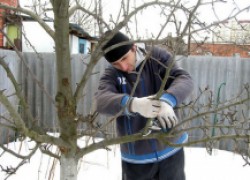 Чем займемся в январе, чтобы не спиться на праздниках