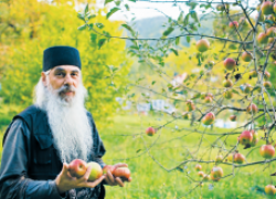 Как хранят яблоки валаамские монахи