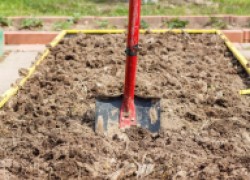 Как я обновляю почву на участке