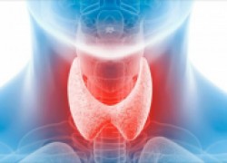 Щитовидная железа: о чем говорят гормоны?